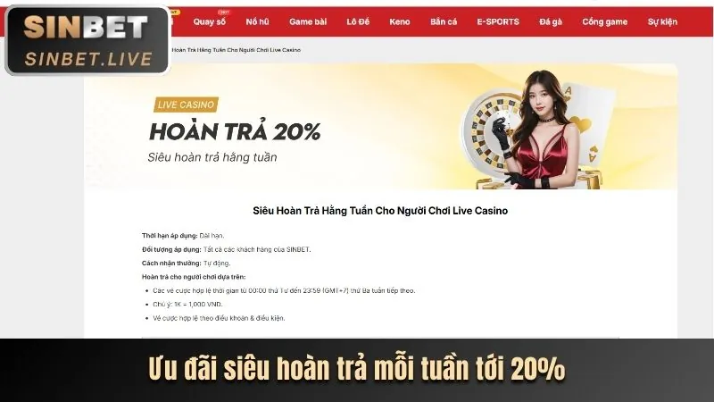 Chương trình VIP casino